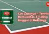 Tenisu_-_Cat_Lapangan_Tenis_Berkualitas.png